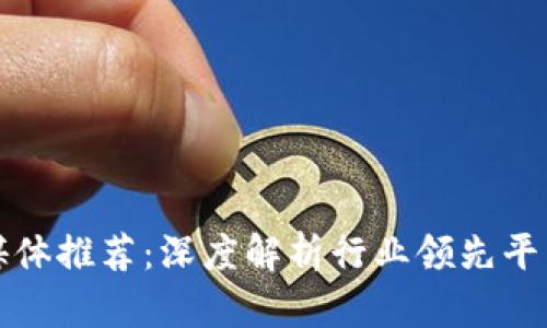 区块链垂直媒体推荐:深度解析行业领先平台与未来趋势