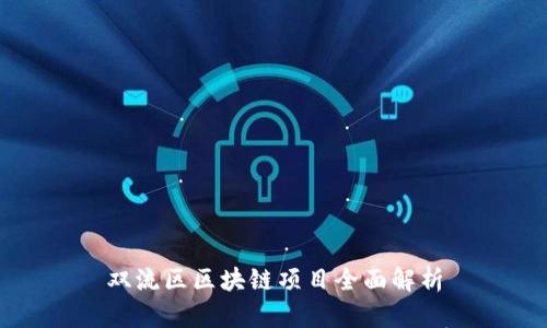 双流区区块链项目全面解析