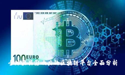 全球最具影响力的区块链平台全面分析