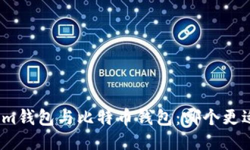 Tokenim钱包与比特币钱包:哪个更适合你?