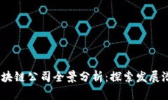 2023年越南区块链公司全景