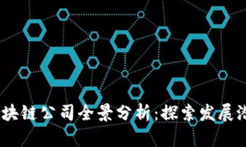 2023年越南区块链公司全景分析:探索发展潜力与市场机遇