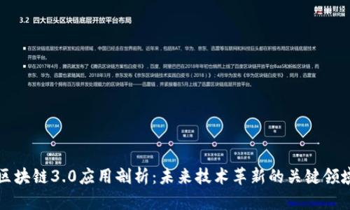 区块链3.0应用剖析:未来技术革新的关键领域