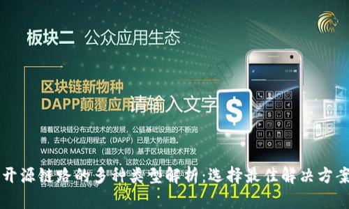 区块链开源链路的多种类型解析:选择最佳解决方案的指南