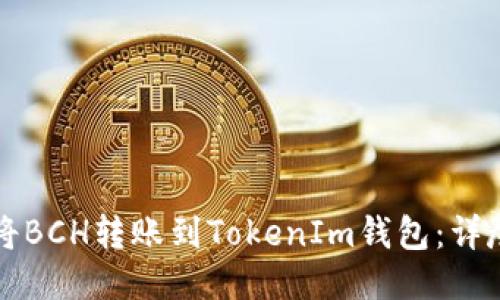 如何将BCH转账到TokenIm钱包:详尽指南