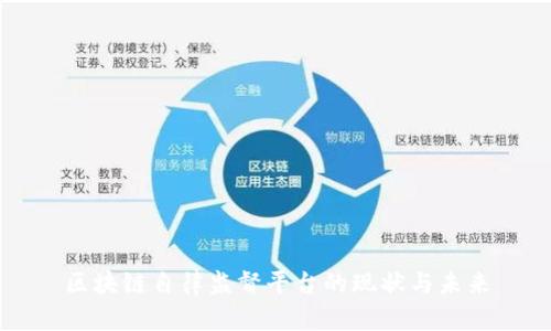 区块链自律监督平台的现状与未来