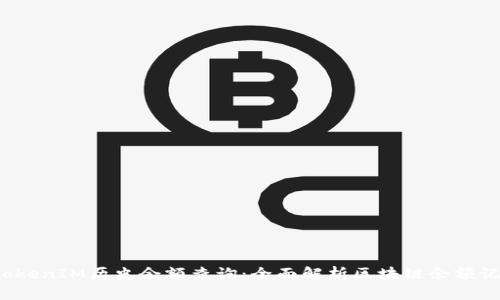 TokenIM历史余额查询:全面解析区块链余额记录