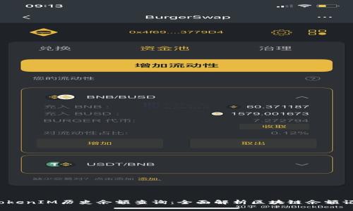TokenIM历史余额查询:全面解析区块链余额记录