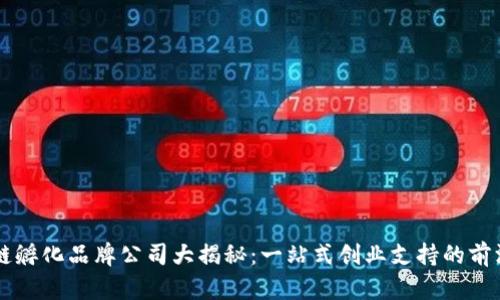 区块链孵化品牌公司大揭秘:一站式创业支持的前沿力量