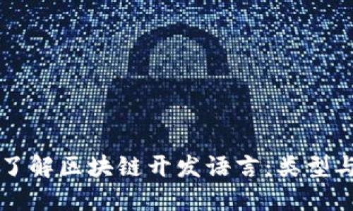 深入了解区块链开发语言:类型与应用