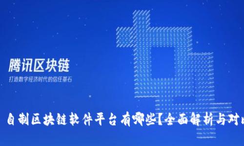 : 自制区块链软件平台有哪些?全面解析与对比