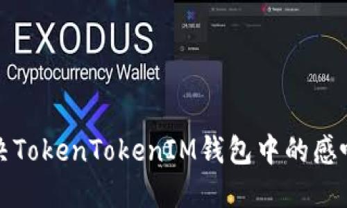 如何解决TokenTokenIM钱包中的感叹号问题