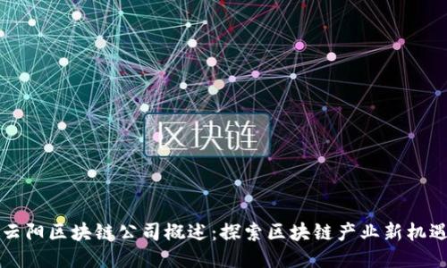 云阳区块链公司概述:探索区块链产业新机遇