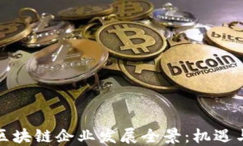 娄底区块链企业发展全景:机遇与挑战