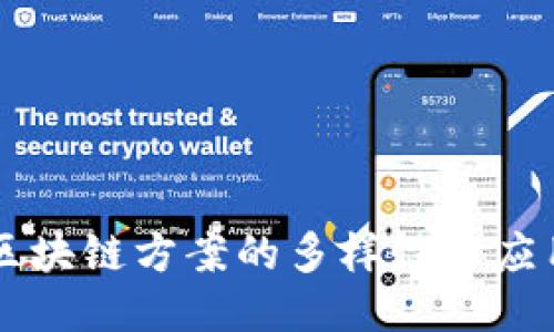 中国区块链方案的多样性与应用探索