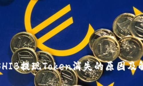 : 币安SHIB提现Token消失的原因及解决方案